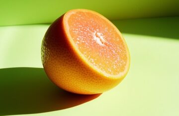 Before an Animal Disease Becomes a Human Epidemic